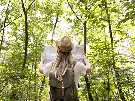Зелёные маршруты: эко-туризм и природа в фокусе - | Новости компании "Слетать.ру"